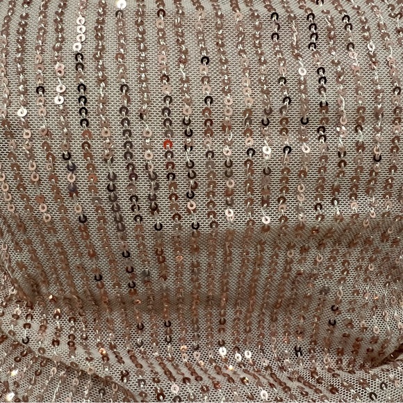 FAERIESTY Embellishment: Rose Gold Sequin Evening Dress - Picture 16 of 16